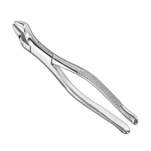Extracting forceps, american patt., sz.10S