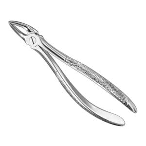 Extracting forceps, engl. patt., size 33
