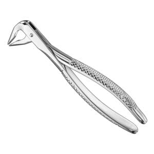 Extracting forceps, engl. patt., size 36 N