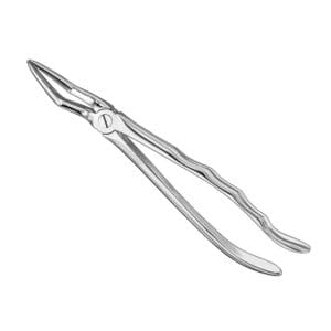 Extracting forceps, anat., size 51 L