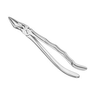 Extracting forceps, anat., size 51 A