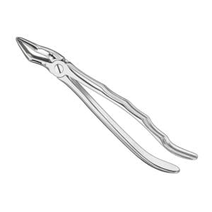 Extracting forceps, anat., size 51