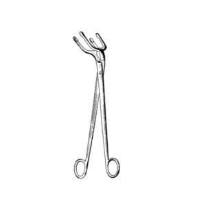 Pye Smith (Harrison) Bowl Fcps 30cm