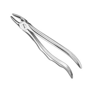 Extracting forceps, anat., size 39 L