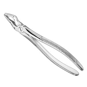 Extracting forceps, engl. patt., size 31