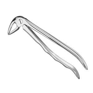 Extracting forceps, anat., size 33 L
