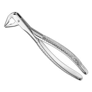 Extracting forceps, engl. patt., size 36 N