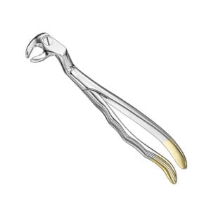 ROUTURIER, extr.fcps., anat., sz.L, diam.