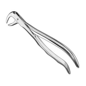 Extracting forceps, anat., size 99