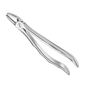 Extracting forceps, anat., size 7