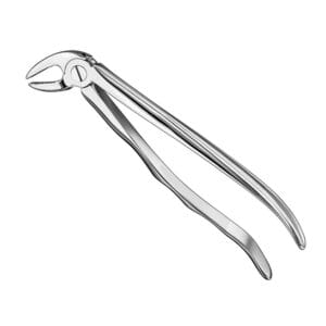 Extracting forceps, anat., size 4
