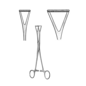 Duval Organ Grasing Forceps BJ 20cm/8"