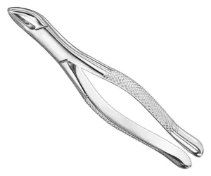 Extracting forceps, american patt., sz. 62