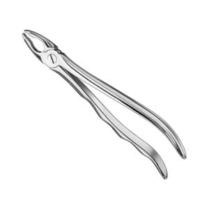 Extracting forceps, anat., size 34