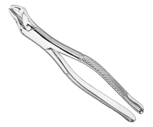Extracting forceps, american patt., sz.53R