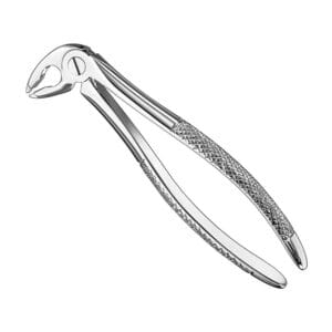 Extracting forceps, engl. patt., size 36