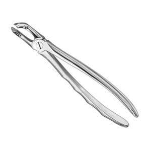 Extracting forceps, anat., size 79 A
