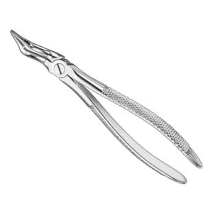 Extracting forceps, engl. patt., size 351S