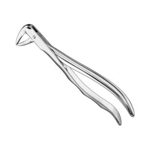 Extracting forceps, anat., size 74 XN