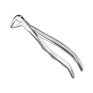 Extracting forceps, anat., size 74